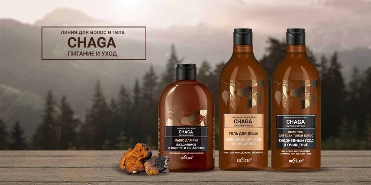 Chaga. Питание и уход